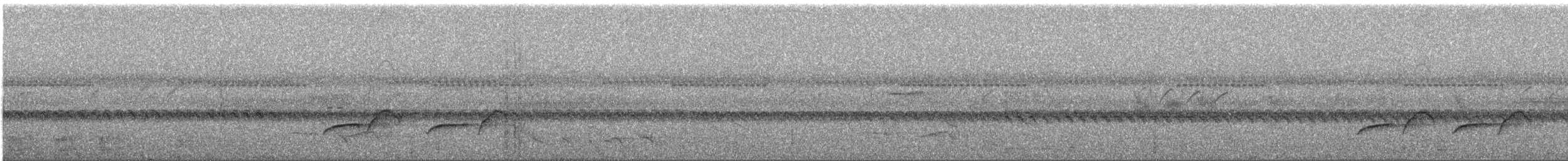 Moustached Laughingthrush - ML231189941