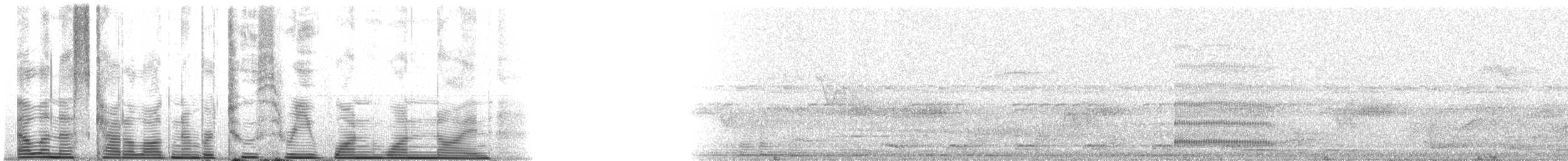 Golden-fronted Woodpecker (Velasquez's) - ML23119