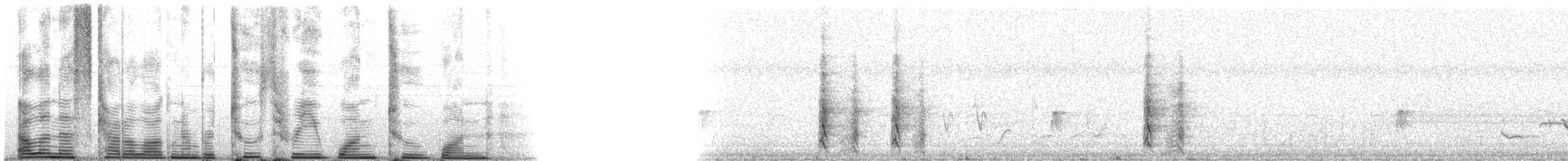 Golden-fronted Woodpecker (Velasquez's) - ML23121