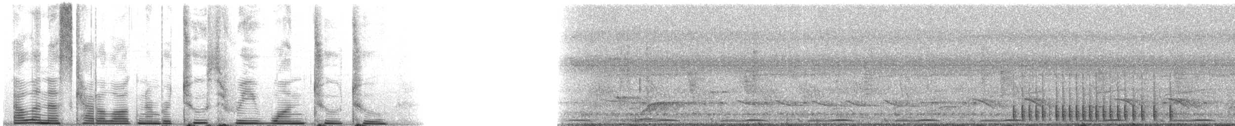 Golden-fronted Woodpecker (Velasquez's) - ML23122