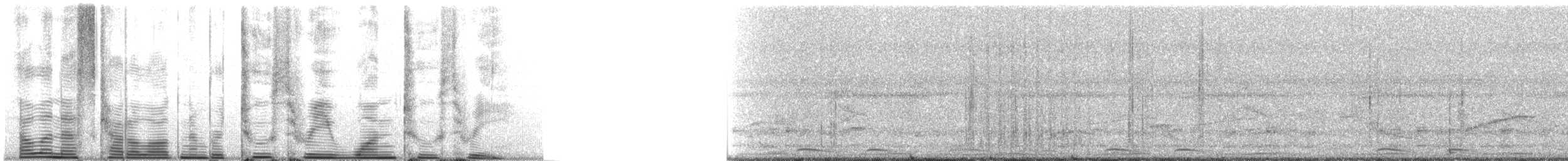 Golden-fronted Woodpecker (Velasquez's) - ML23123