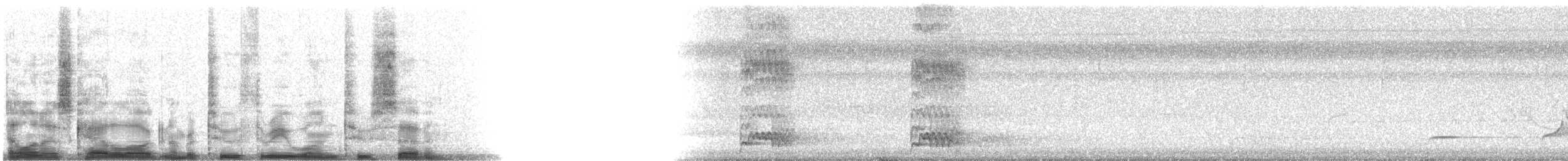 Red-bellied Woodpecker - ML23127