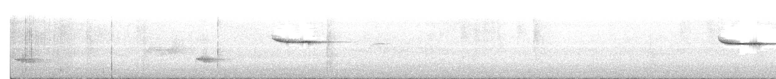 Troglodyte siffleur - ML231324351