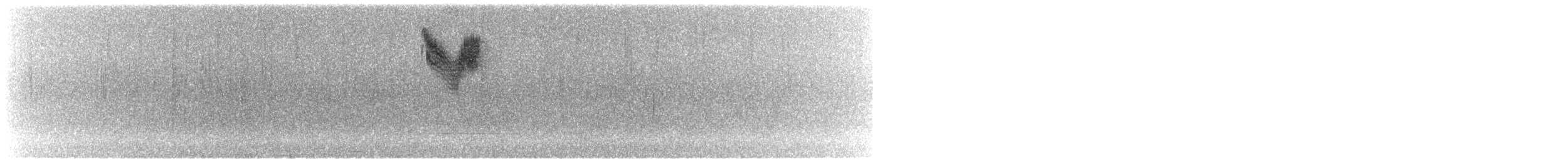 pipilo rudooký - ML231351601