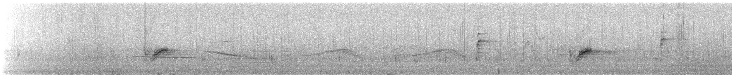 pipilo rudooký - ML231351691
