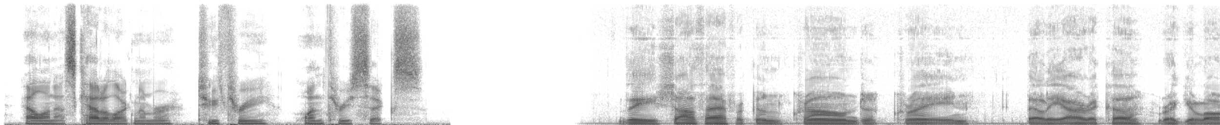 ホオジロカンムリヅル - ML23136