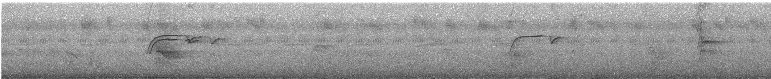 Котингіта жовтогорла (підвид pipra) - ML231378681