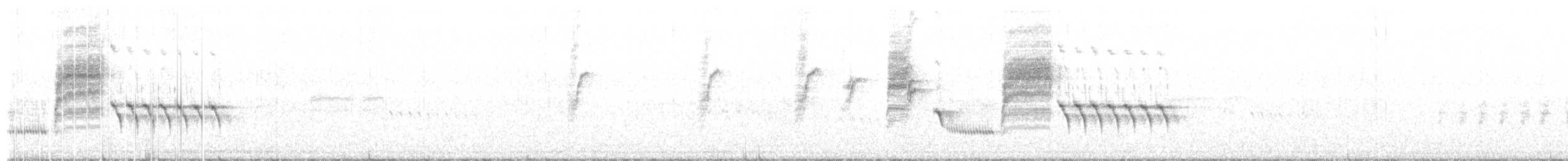 Bewick's Wren - ML231401441