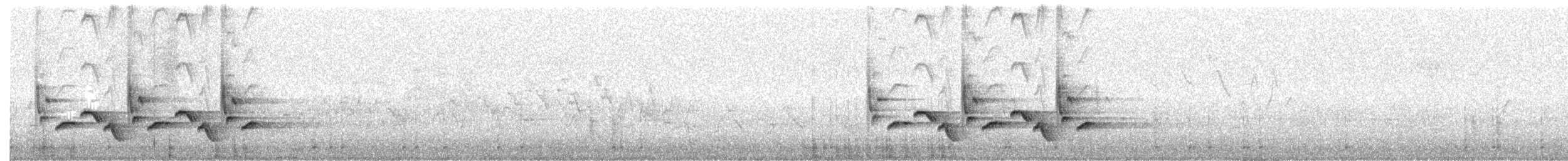 Каролинский крапивник - ML231403281