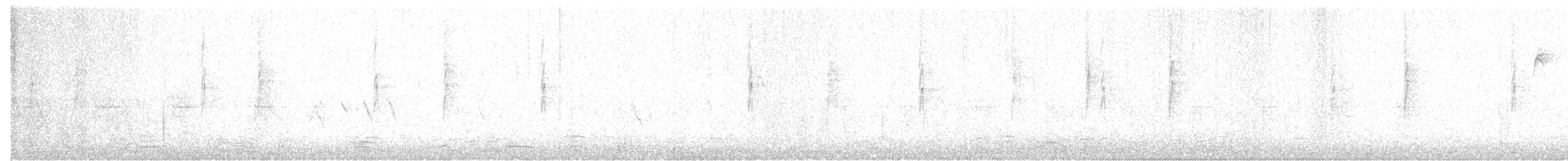 Шишкар ялиновий - ML23140611