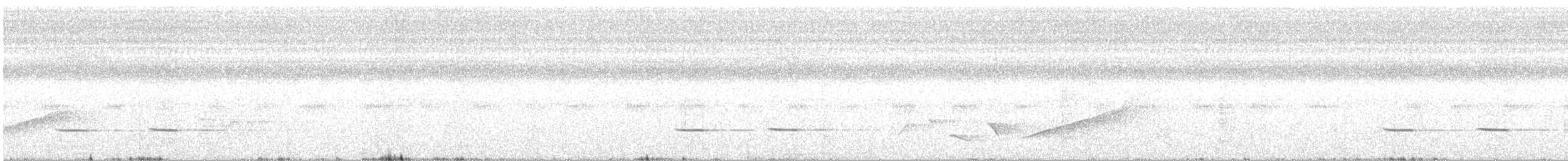 Striped Cuckoo - ML231424031