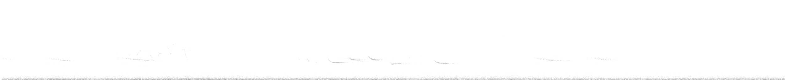 Paruline à capuchon - ML231502921