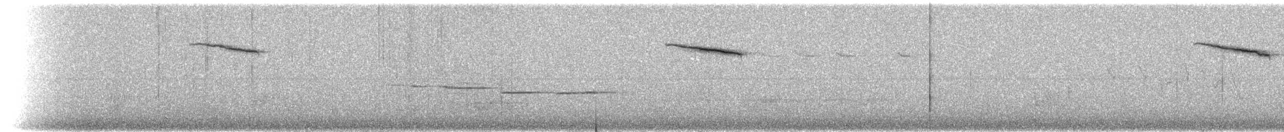 Дрізд-короткодзьоб плямистоволий - ML231511181