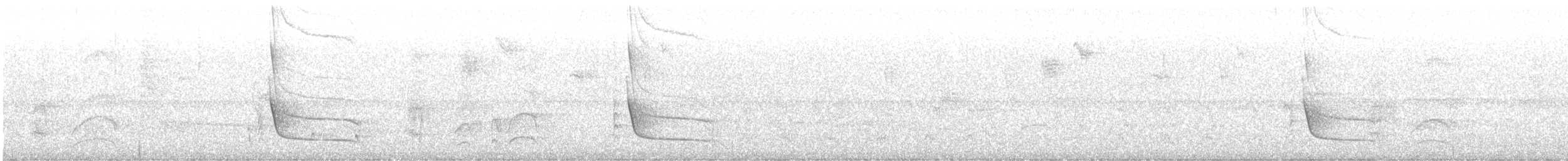 Çizgili Büyük Tiran - ML231516201