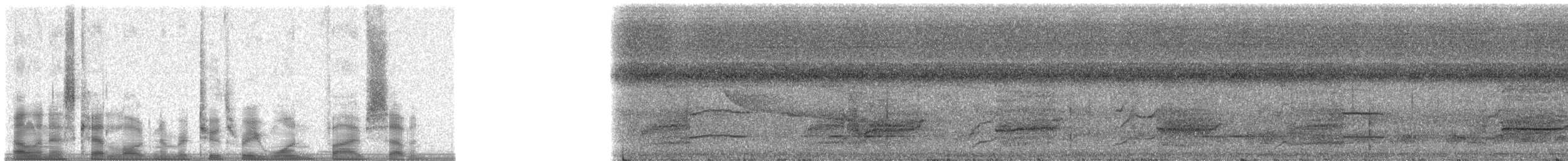 Western Long-tailed Hornbill - ML23157