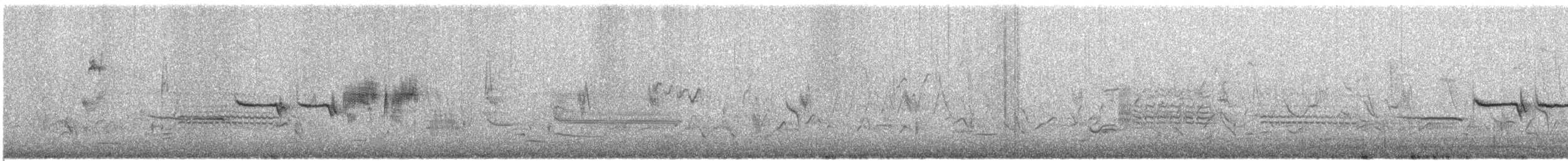 Bruant à couronne blanche - ML231575011