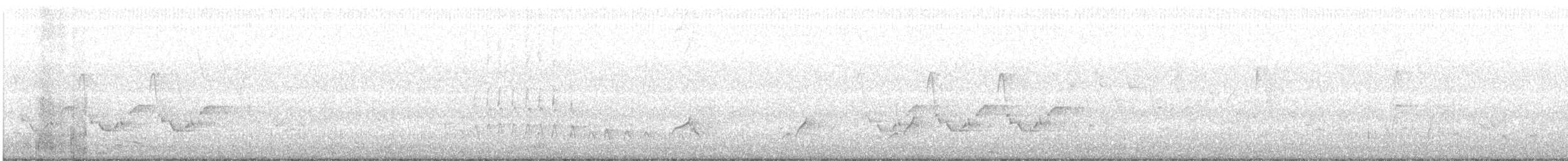 Поплітник каролінський - ML231576831