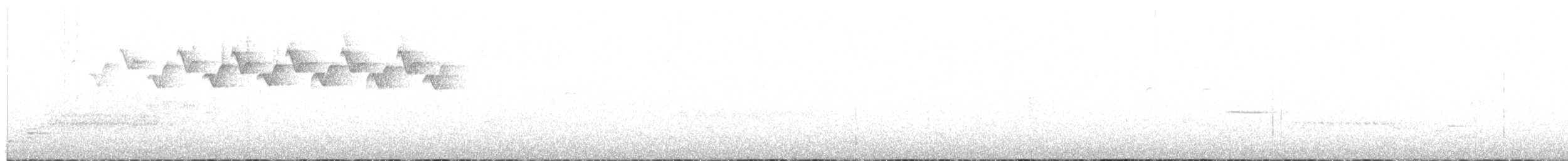 lesňáček černobílý - ML231591971