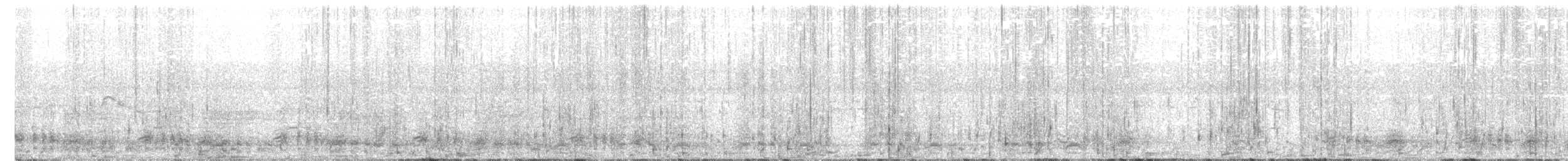 čačalaka kropenatá - ML231592911
