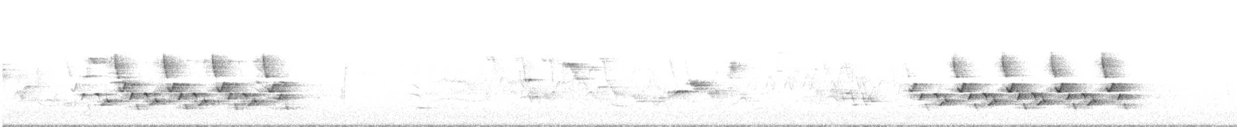 Поплітник каролінський - ML231604691