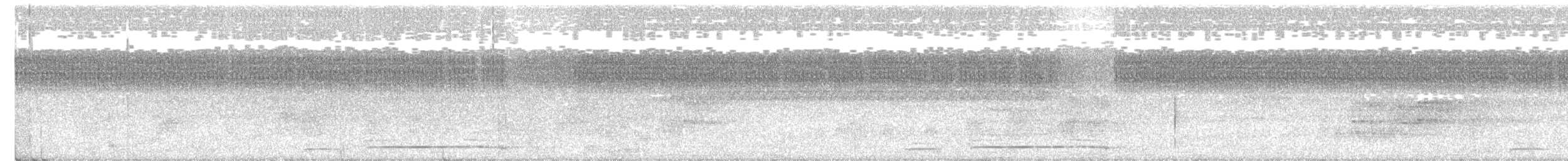 holub safírový - ML231604791