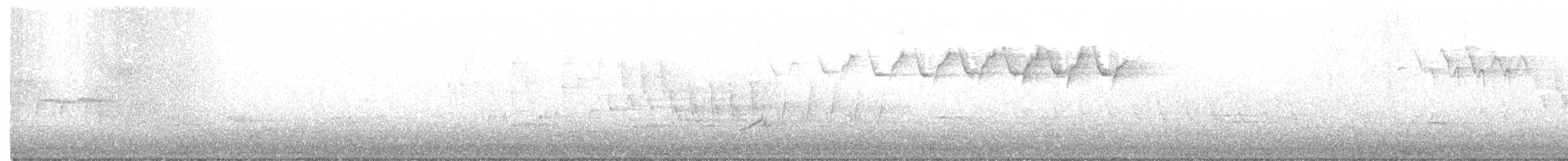 tanımsız Parulidae sp. - ML231612741