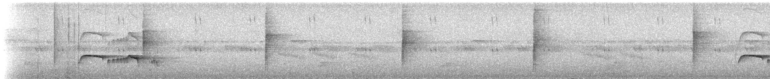Atlantik Karınca Tiranı - ML231658