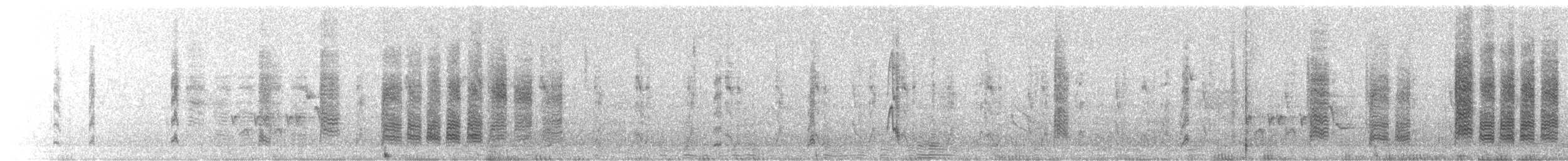 Сияющий колибри-капуцин - ML231671241