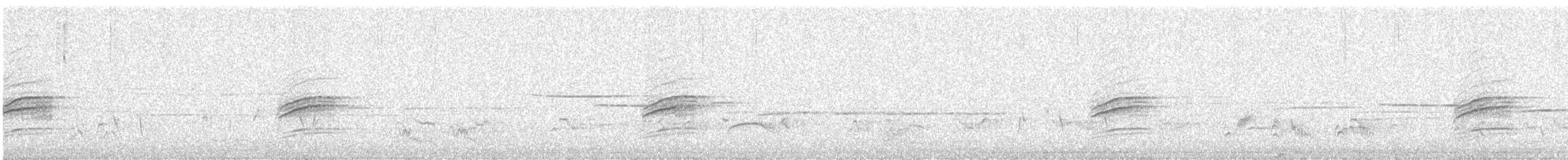 Дрізд-короткодзьоб плямистоволий - ML231682961
