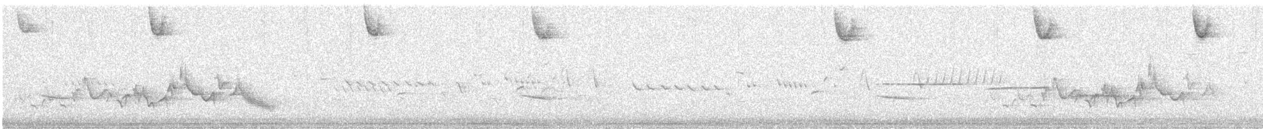Чечевиця кармінова (підвид purpureus) - ML231683301