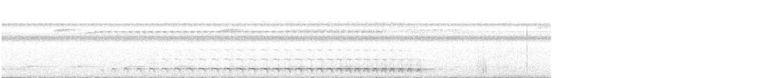 White-tailed Trogon - ML231688371