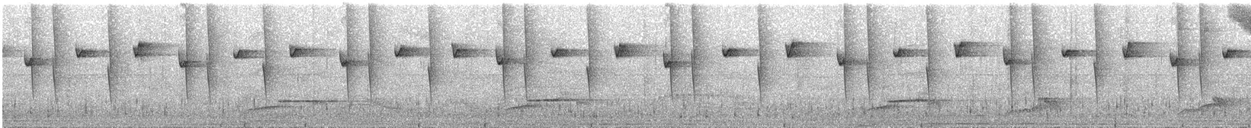 Солнечный колибри-отшельник - ML231705691