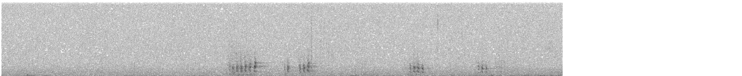Trogon élégant (groupe ambiguus) - ML231771721