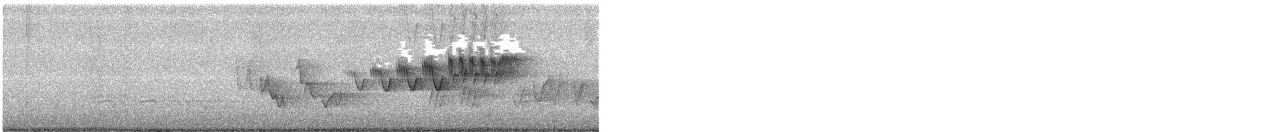 Cerulean Warbler - ML231803401