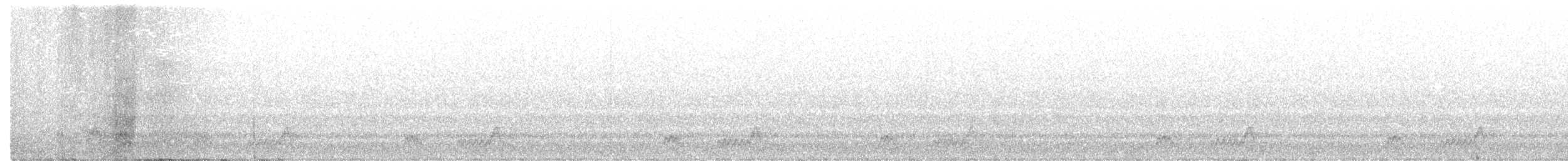 Mexikonachtschwalbe - ML231881951
