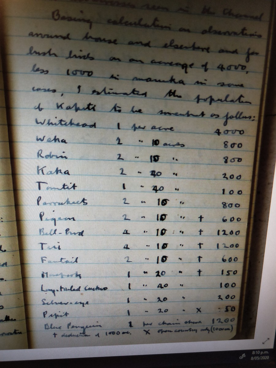 雀形目 - ML231884691