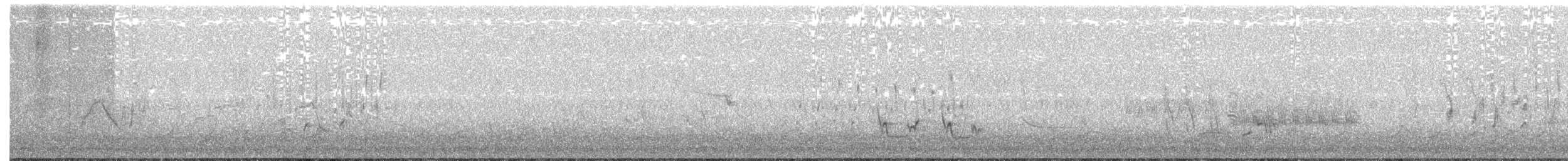 ハシナガヌマミソサザイ - ML231897401