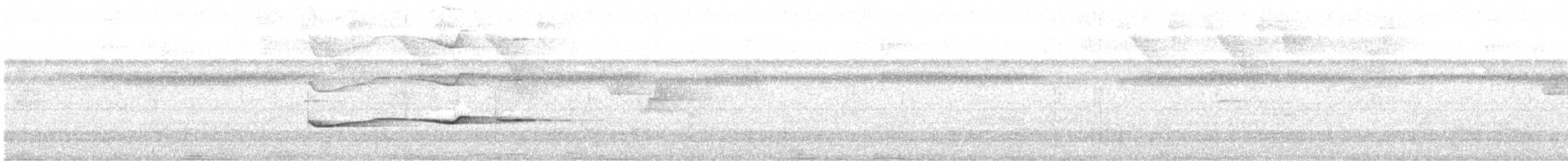 キタツグミマイコドリ - ML232017621