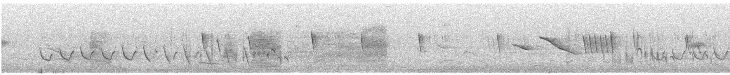 passerine sp. - ML232047931