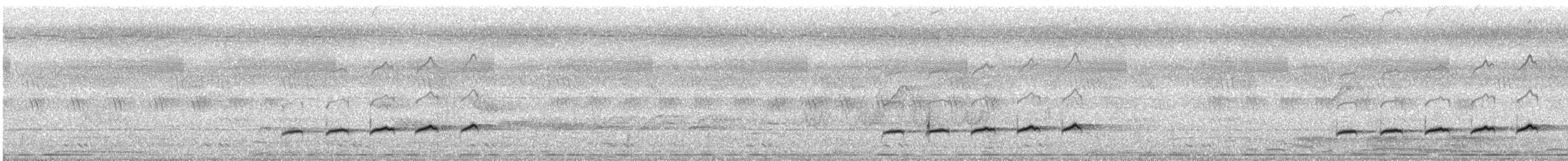Çatal Kuyruklu Drongo Guguğu - ML232084421