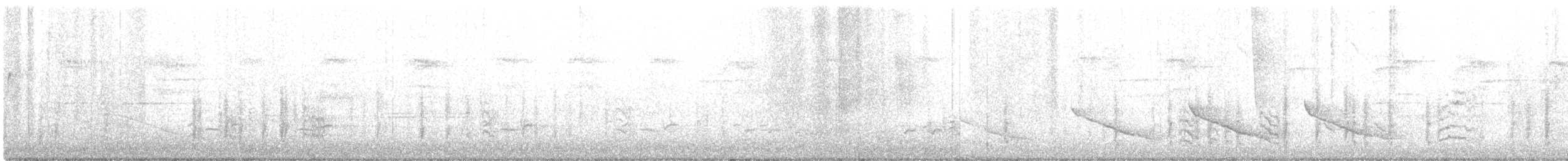 Sittelle à poitrine blanche (carolinensis) - ML232107311
