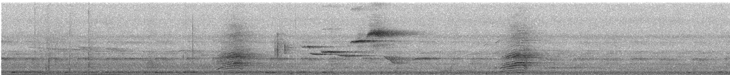 Sri Lanka Gray Hornbill - ML232155161