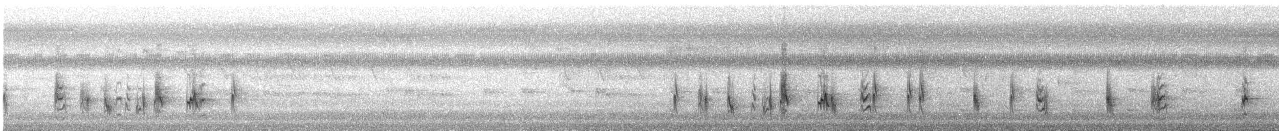 Graubrustdrongo (leucopygialis/insularis) - ML232156241