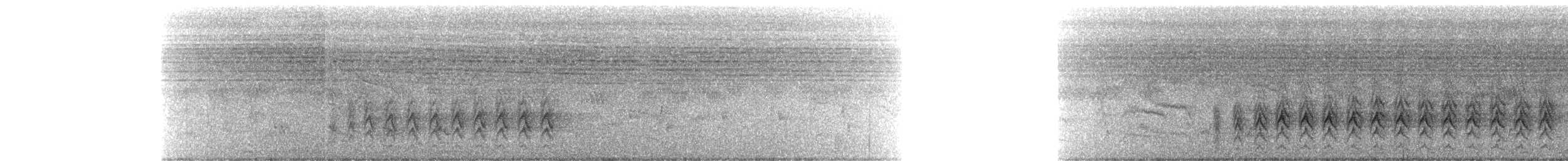 黑原鵑鵙 - ML232307381
