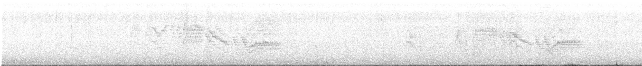 Пестрогорлый соловьиный дрозд - ML232388341