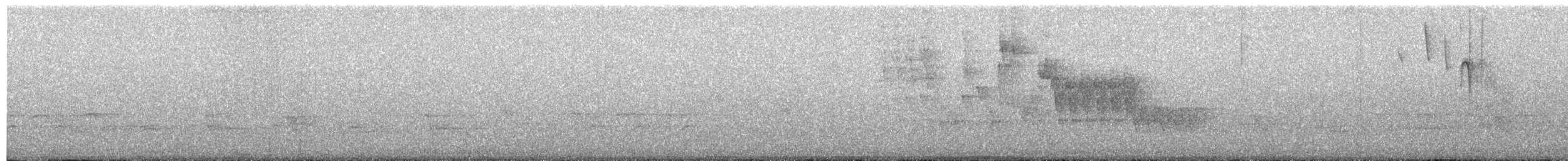 Northern House Wren - ML232395831