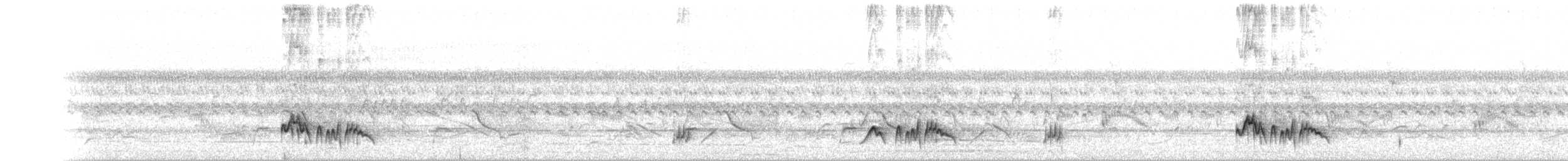 Brown-crested Flycatcher - ML232405201