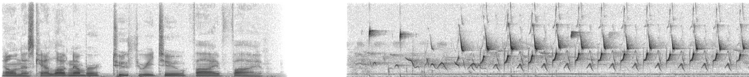 Northern Cardinal - ML23255