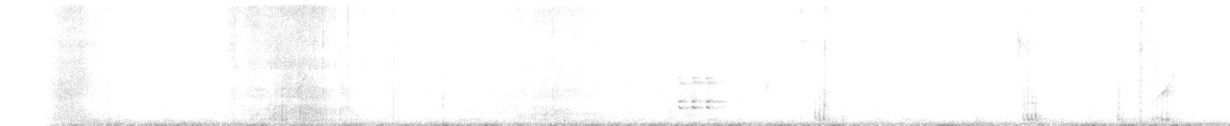 Graubrust-Kleintyrann - ML232553411