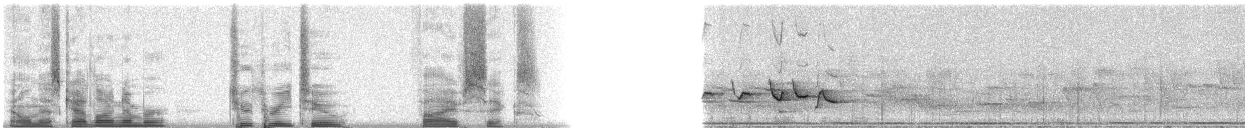 Rose-throated Tanager - ML23256